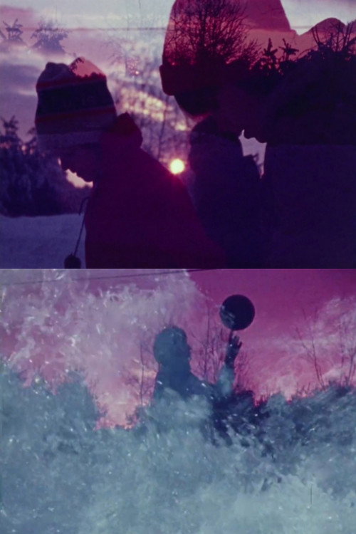 West By North (1977) poster