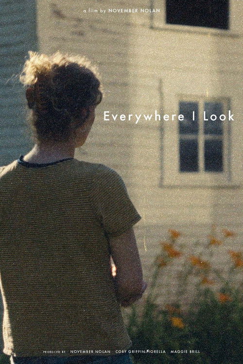 Everywhere I Look (2025) poster