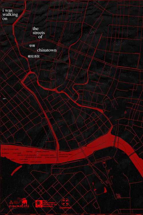 i was walking on the streets of chinatown (2024) poster