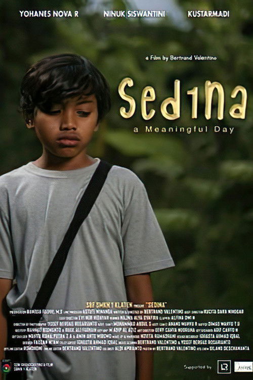 Sedina poster