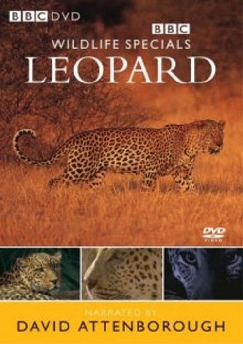 Leopard: The Agent of Darkness (1997) poster