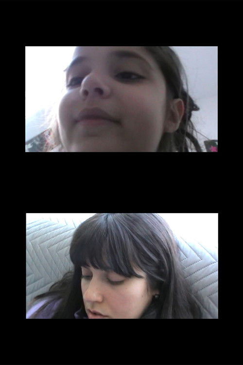 Landscape from a Window (2020) poster