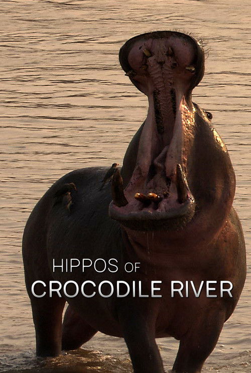 Hippos of Crocodile River (2020) poster