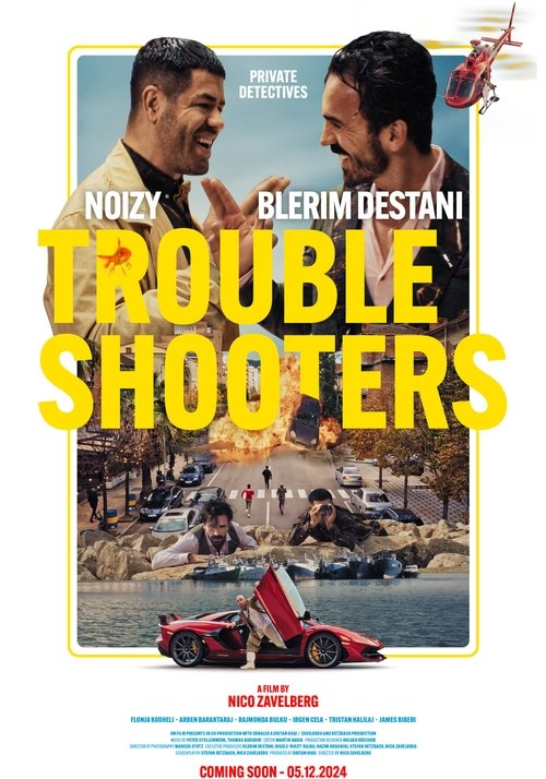 Troubleshooters (2024) poster