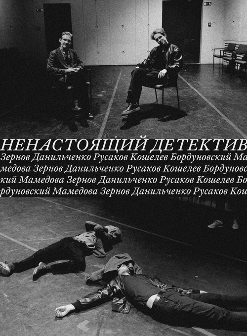 Ненастоящий детектив (2024) poster