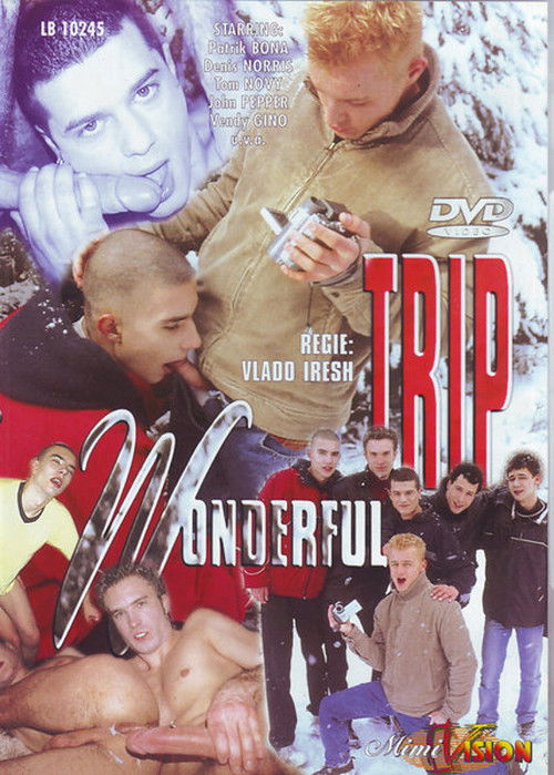 Wonderful Trip (2004) poster