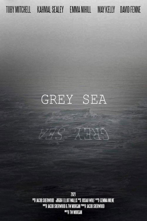 Grey Sea (2021) poster