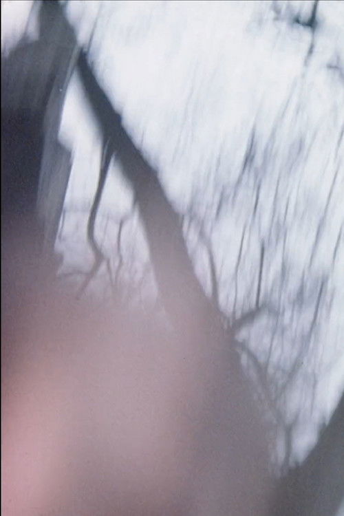 Sensitométrie IV (1976) poster