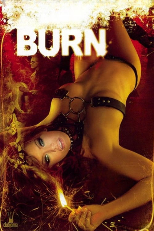 Burn (2008) poster