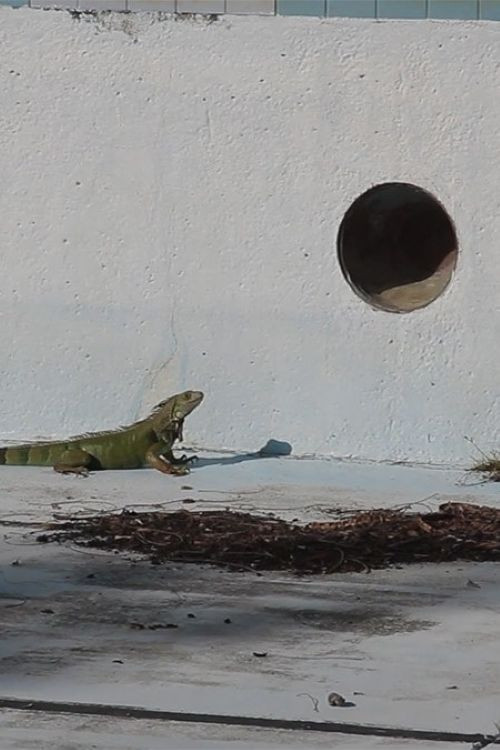 Ojos para mis enemigos (2014) poster