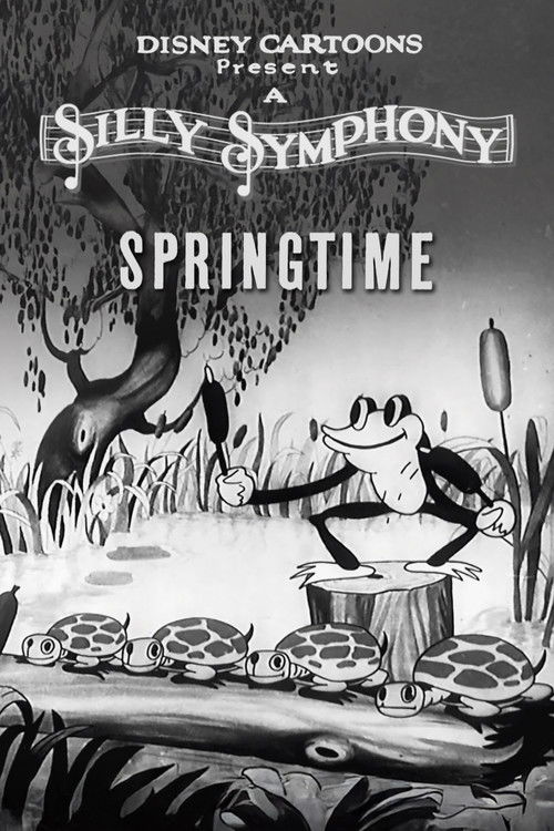 Springtime (1929) poster