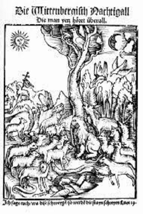 The Wittenberg Nightingale (1913) poster