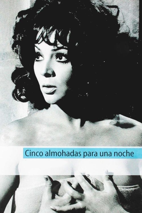 Five Pillows for One Night (1974) poster