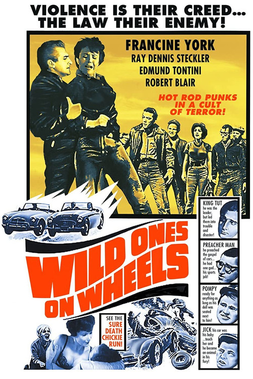 Wild Ones on Wheels (1962) poster