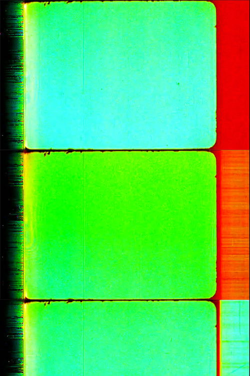 I.S. Migration (2010) poster