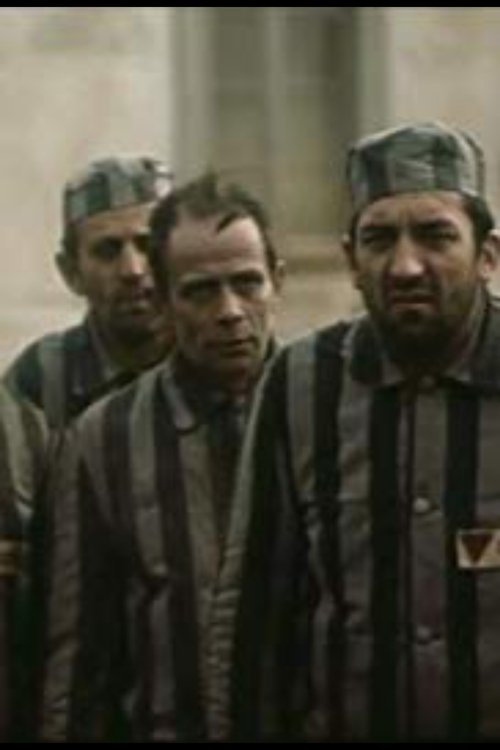 Manifesto for Freedom (1974) poster