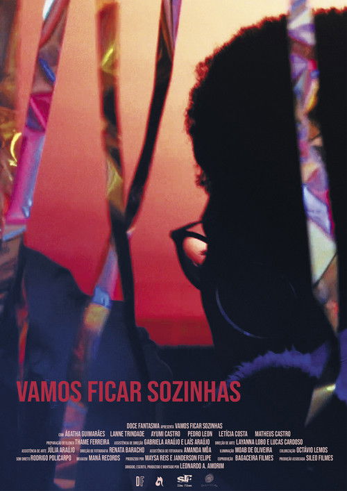 Vamos Ficar Sozinhas (2019) poster