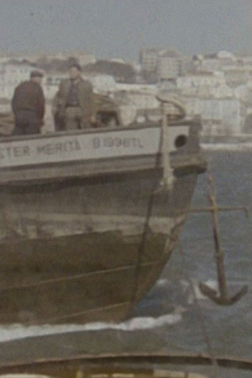 Tráfego e Estiva (1968) poster