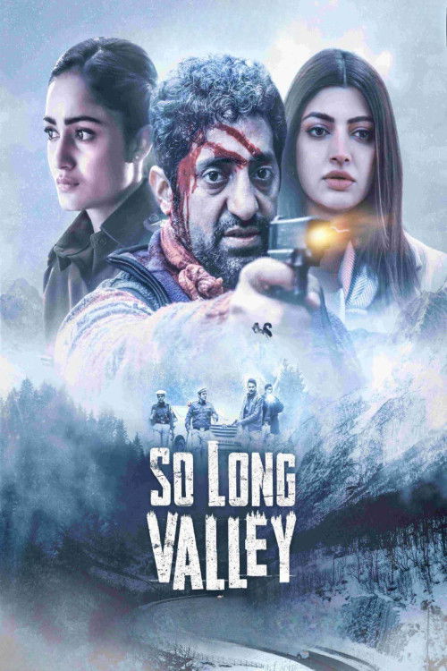 So Long Valley (2025) poster