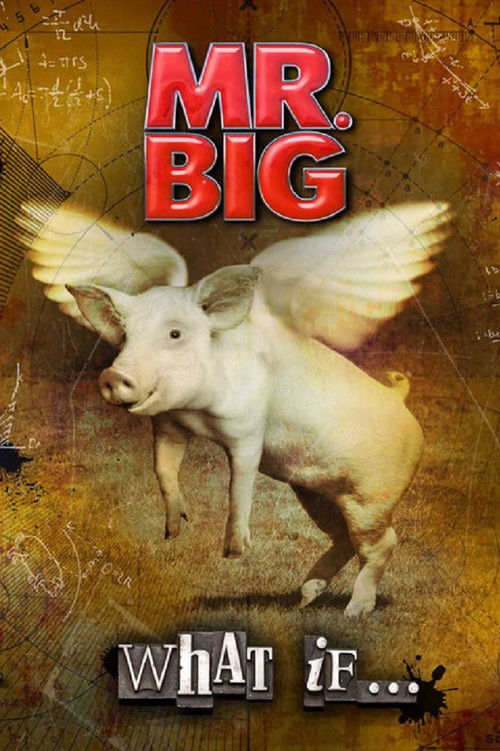 Mr. Big: The Making Of 'What If...' (2011) poster