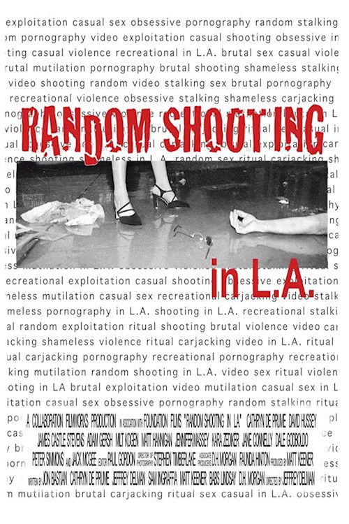 Random Shooting in LA (2002) poster