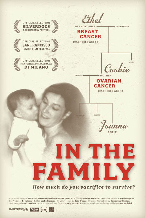 In the Family (2008) poster