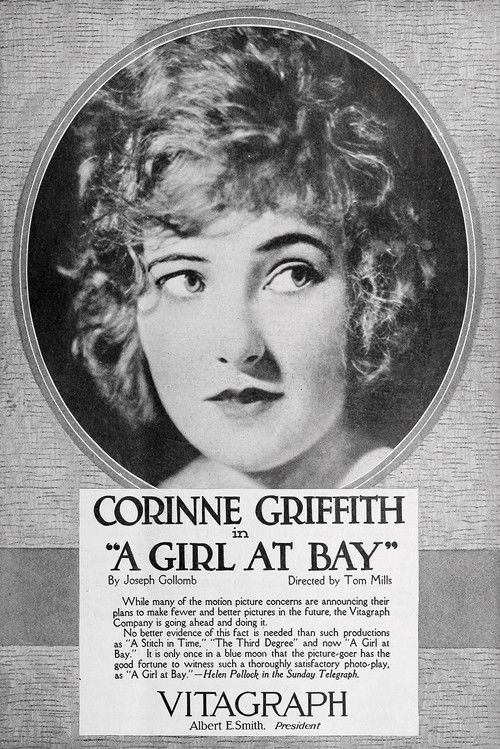 A Girl at Bay (1919) poster