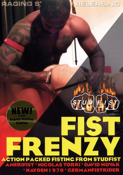 Fist Frenzy (2011) poster