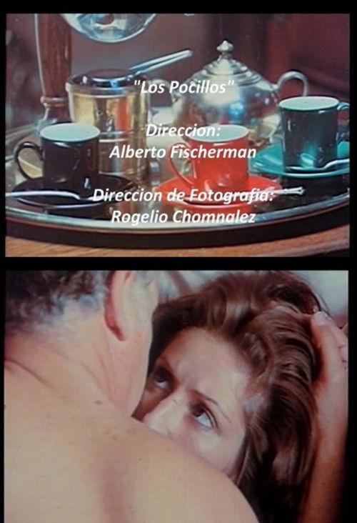 Los pocillos (1974) poster