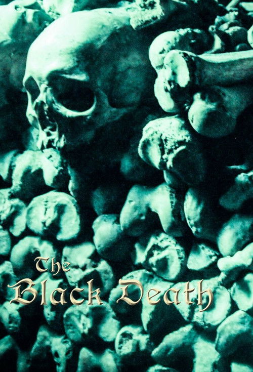 The Black Death: A Plague Upon the World (2023) poster