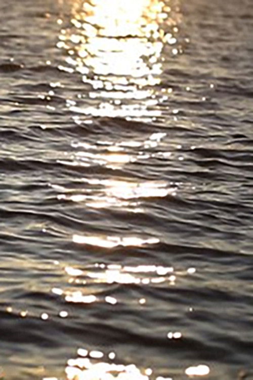 Waivelength (2019) poster