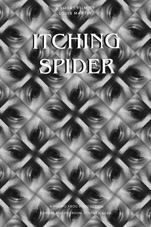 Itching Spider (2024) poster