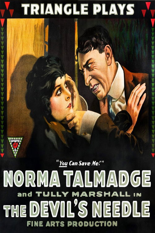 The Devil's Needle (1916) poster