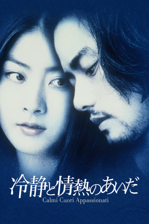 Between Calmness and Passion (2001) poster