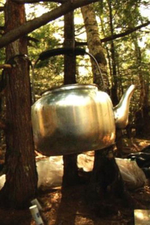 The Hermit (2014) poster