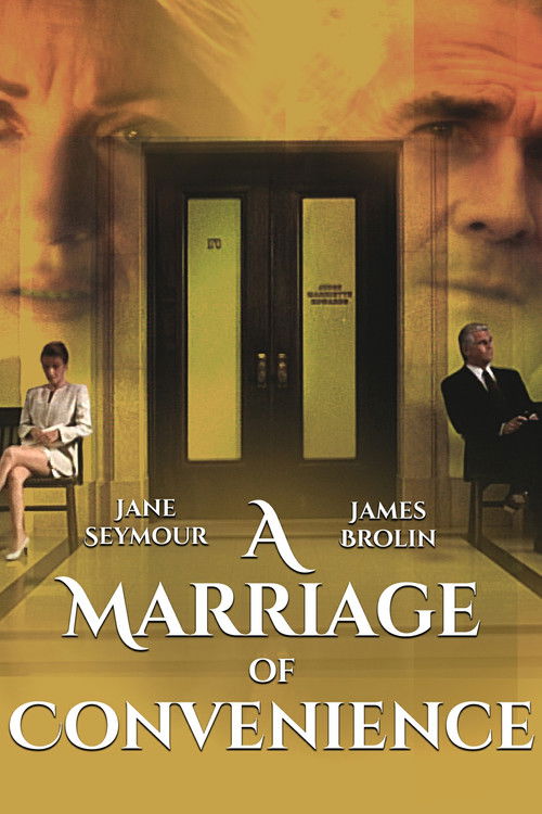 A Marriage of Convenience (1998) poster