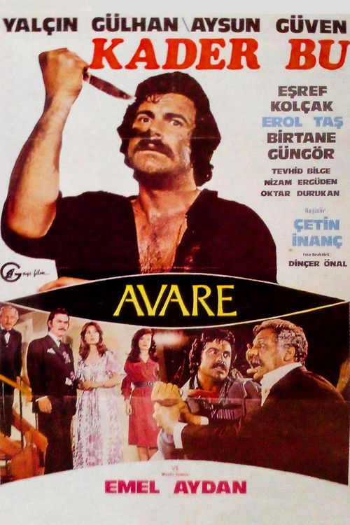 Kader Bu (1976) poster