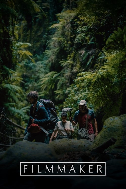 Filmmaker (2025) poster