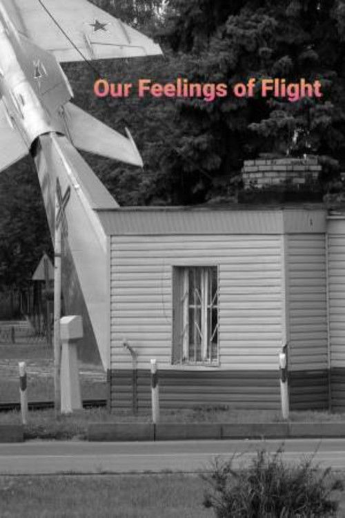 Our Feelings of Flight (2021) poster