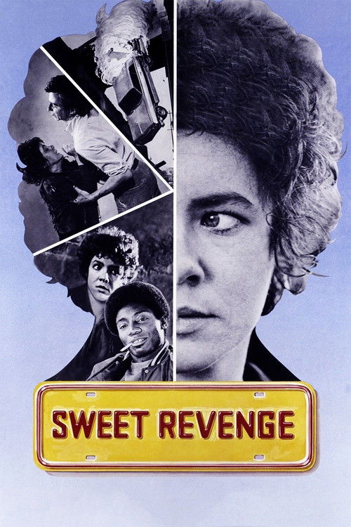 Sweet Revenge (1976) poster