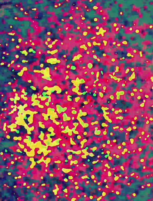 Various Energies (2020) poster