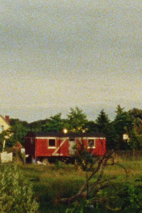 summercycle iv (2023) poster