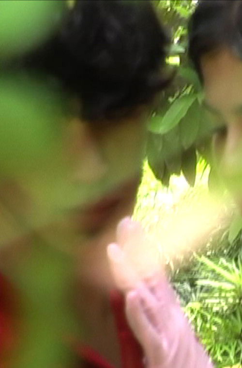 Butterfly Woman poster