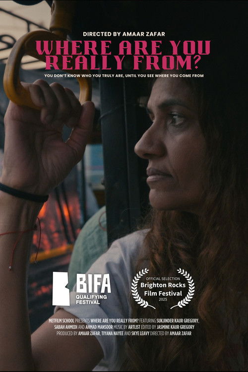 Where Are You Really From? (2025) poster
