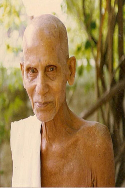 An Interview with Annamalai Swami by Jim Lemkin (1993) poster