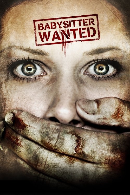 Babysitter Wanted (2007) poster