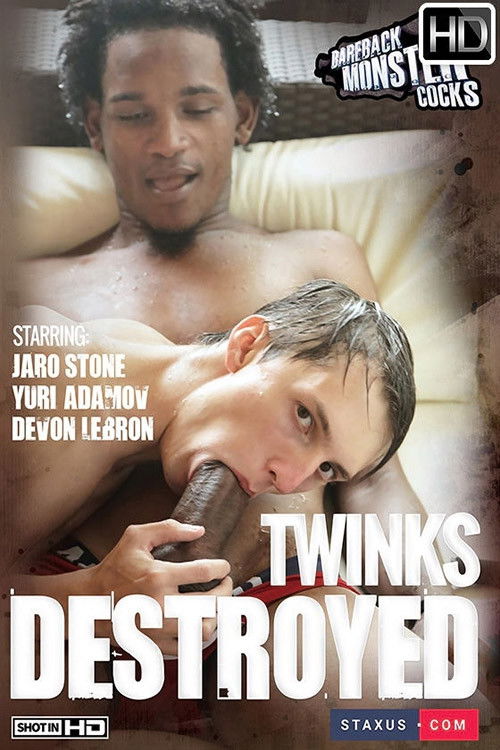 Twinks Destroyed (2014) poster