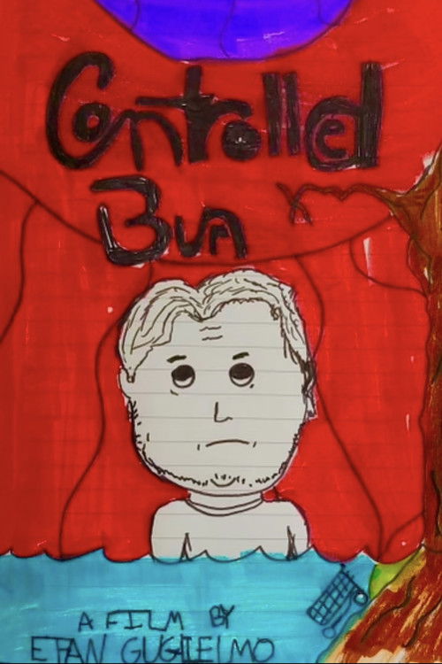 Controlled Burn (2024) poster