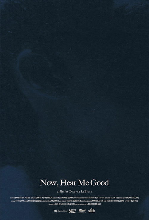Now, Hear Me Good (2025) poster