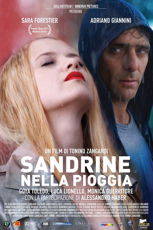 Sandrine in the Rain (2008) poster